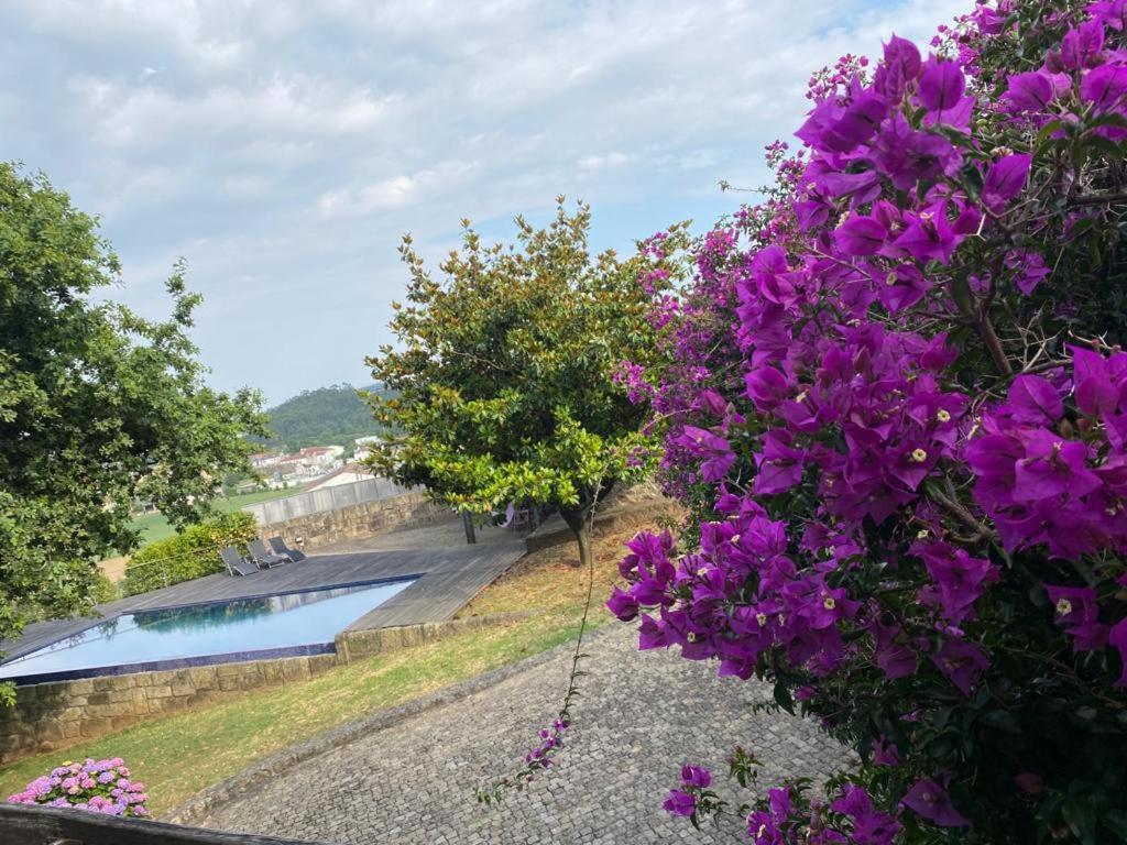 Porto-Braga Country Side - Private Swimming Pool Βίλα Alvarelhos Εξωτερικό φωτογραφία